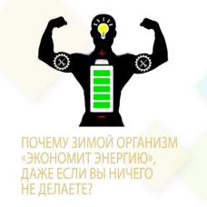 ПОЧЕМУ ЗИМОЙ ОРГАНИЗМ "ЭКОНОМИТ ЭНЕРГИЮ", ДАЖЕ ЕСЛИ ВЫ НИЧЕГО НЕ ДЕЛАЕТЕ?
