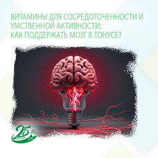 ВИТАМИНЫ ДЛЯ СОСРЕДОТОЧЕННОСТИ И УМСТВЕННОЙ АКТИВНОСТИ: КАК ПОДДЕРЖАТЬ МОЗГ В ТОНУСЕ?